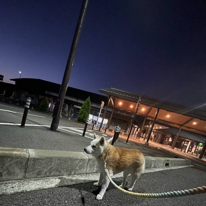 901d12ba e2a8 4b0e 9216 acf6100baa9e 1669066329051