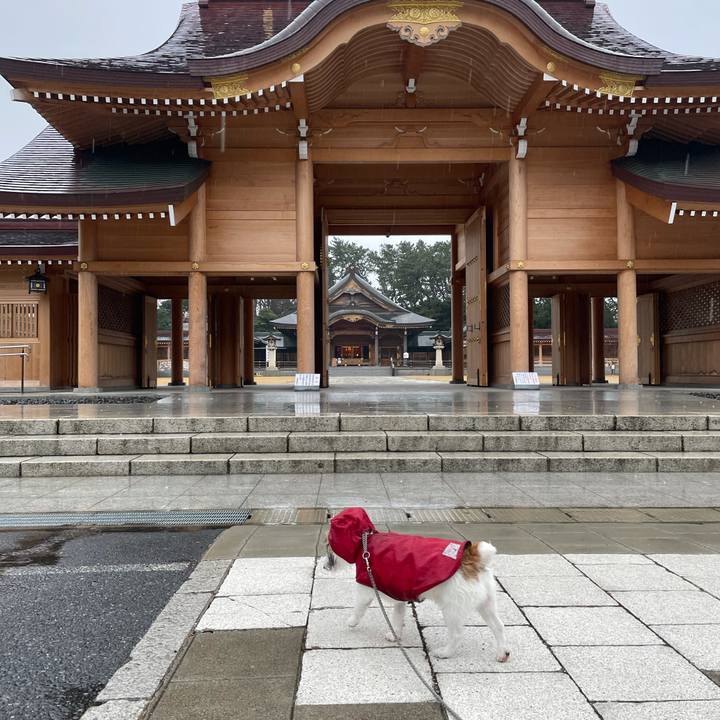 901d134b 856c 4ee7 a811 15be758914bd 1615592556860