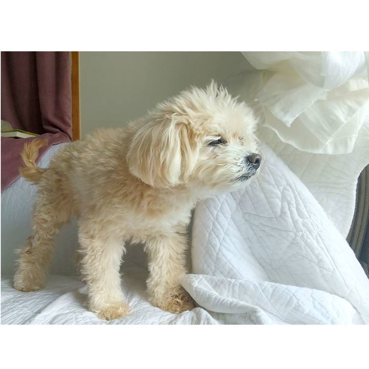 901d2c41 52bd 416b 9dc3 9726a97596c6 1682309443432