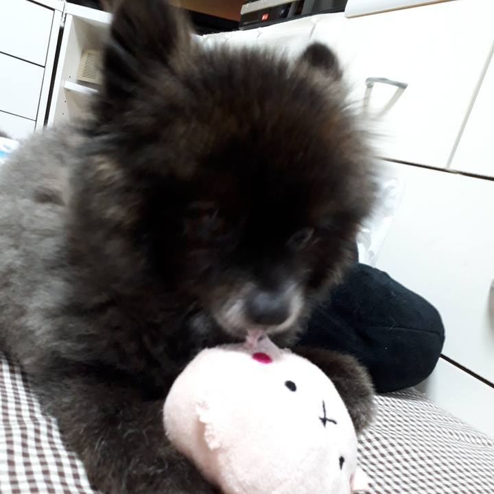 901d37e9 d15a 481f a39b 055c1c2231ea 1542313837029