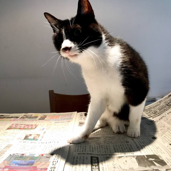 901d489a e68f 460f 8843 4280234aa7cb 1526266645073