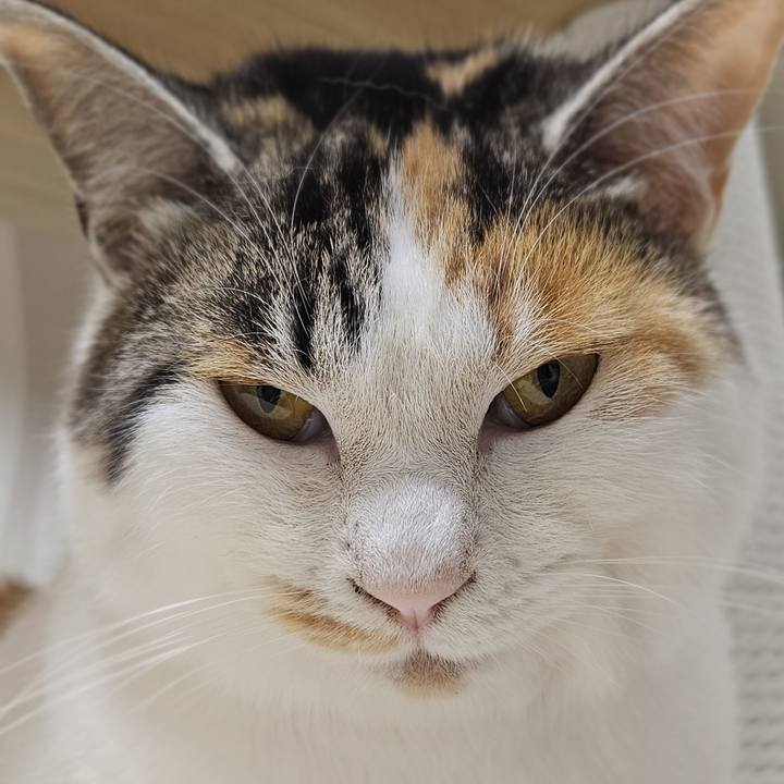 901d602a cf24 44e0 87b5 16d87831fc06 1769820208550