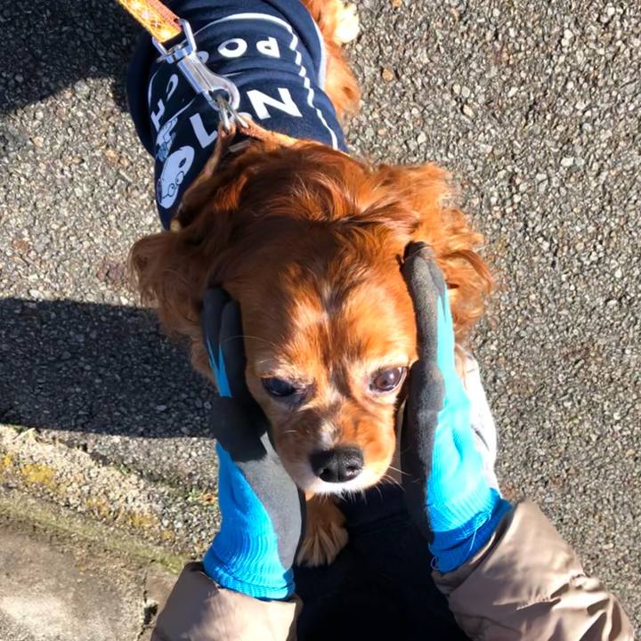 901d6da3 bdf1 4441 9fcb b82d0eecc69d 1647736286805