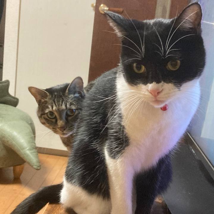 901d737a 91bd 45f7 ac94 ec000b13b8bf 1606662232148