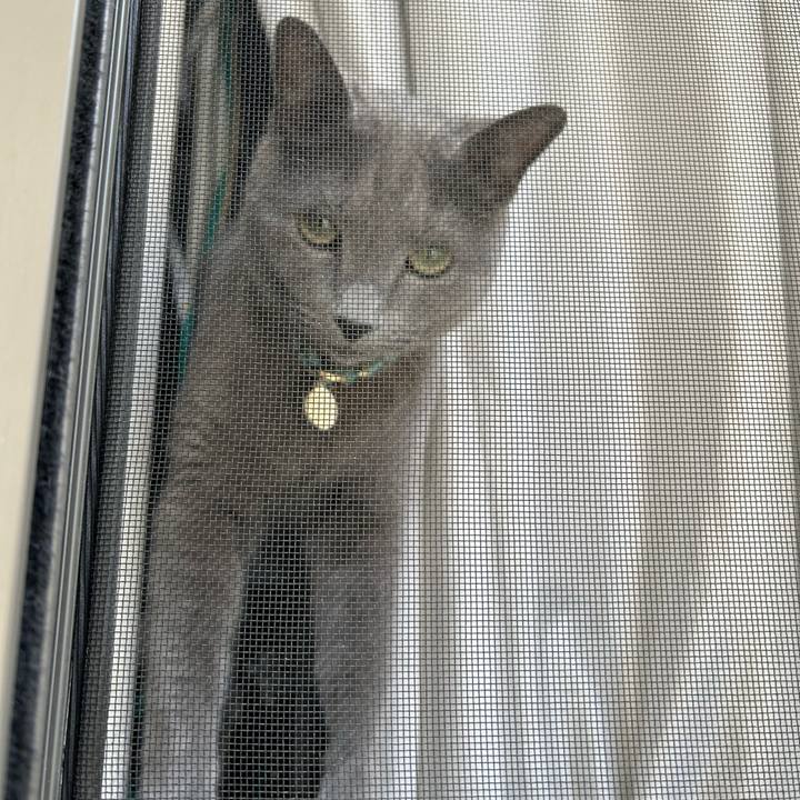 901d7cd6 0cd2 4745 b326 2530b9803d69 1713239532959