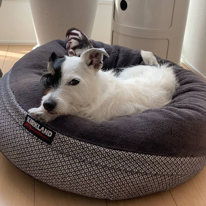 901d9458 51c7 4ed9 a29e 887fb7b74899 1684387913872