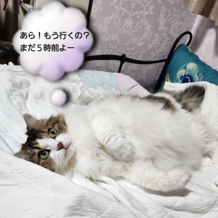 901db122 541c 4391 97f0 7f8db01d1982 1756904971770