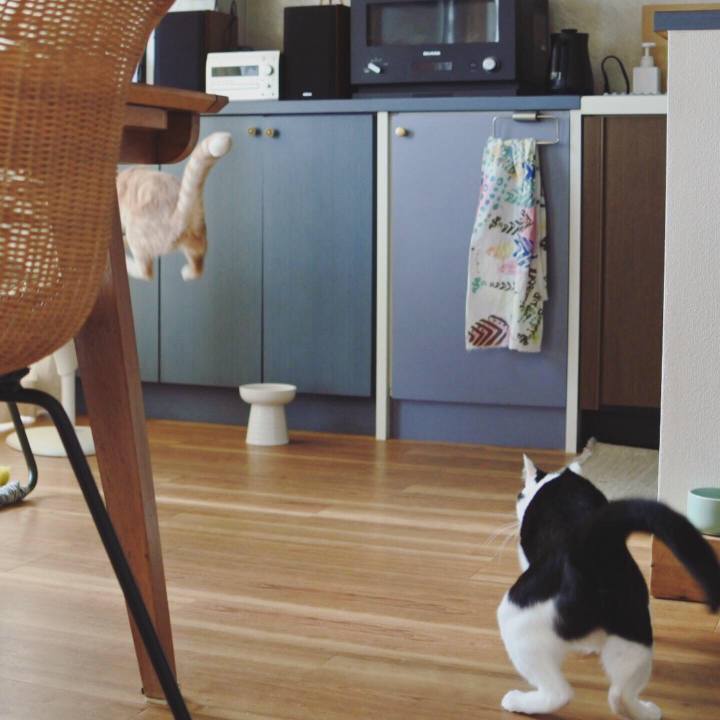 901dcc88 72da 407c 9e59 e974252c02ec 1570347027813