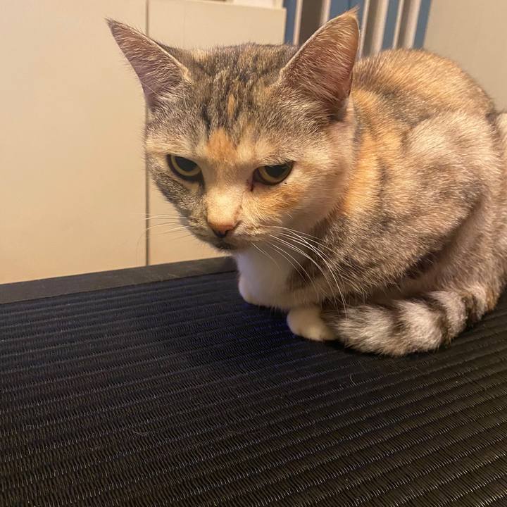 901e0711 d2a3 4607 af94 0c02263cbabe 1578933231417