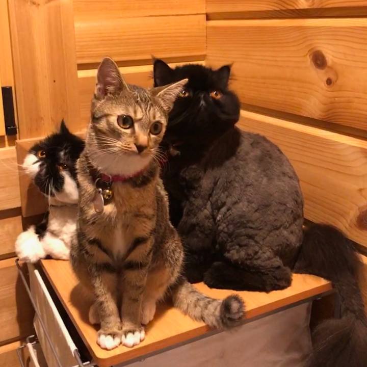 901e2160 4261 4a00 aaa1 47ec1924e7d9 1563708756405