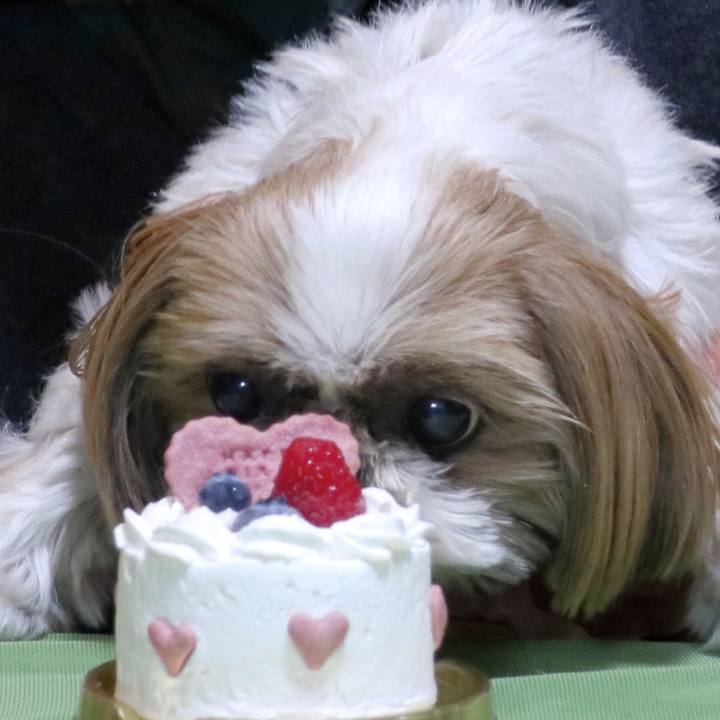 901e3765 c82a 4a24 ba94 f6cc8c9bae5e 1554217694309