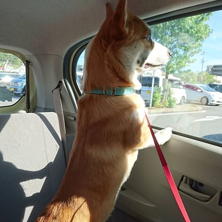 901e5bdd 9558 4579 93d4 c7619f6c4ba1 1568199242772