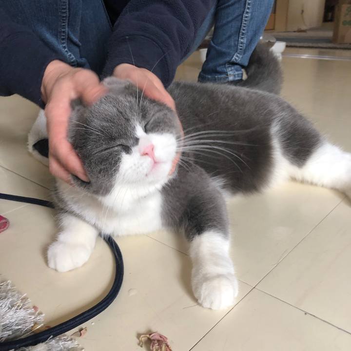 901e9931 a9b2 4f9a a3a9 6ad33bc42a0f 1551266122918