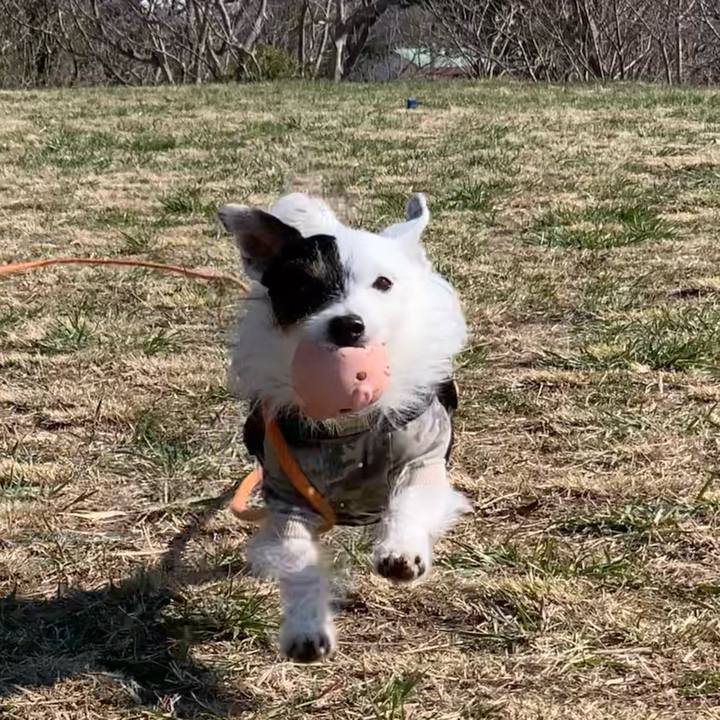 901e9f60 b872 42d2 9c76 9341f535a152 1710378152703