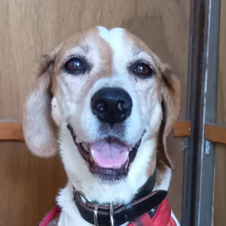 901ef1c6 9fff 4413 b6b6 1ea18db9f6a9 1727943663596