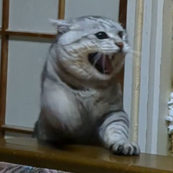 901ef927 11ca 404c bf82 a6b04e767f88 1721900939959