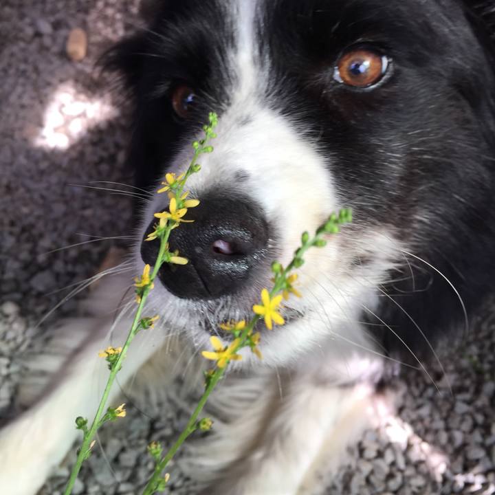 901f472c d29e 41fa a53d 5791140341b5 1567644013095