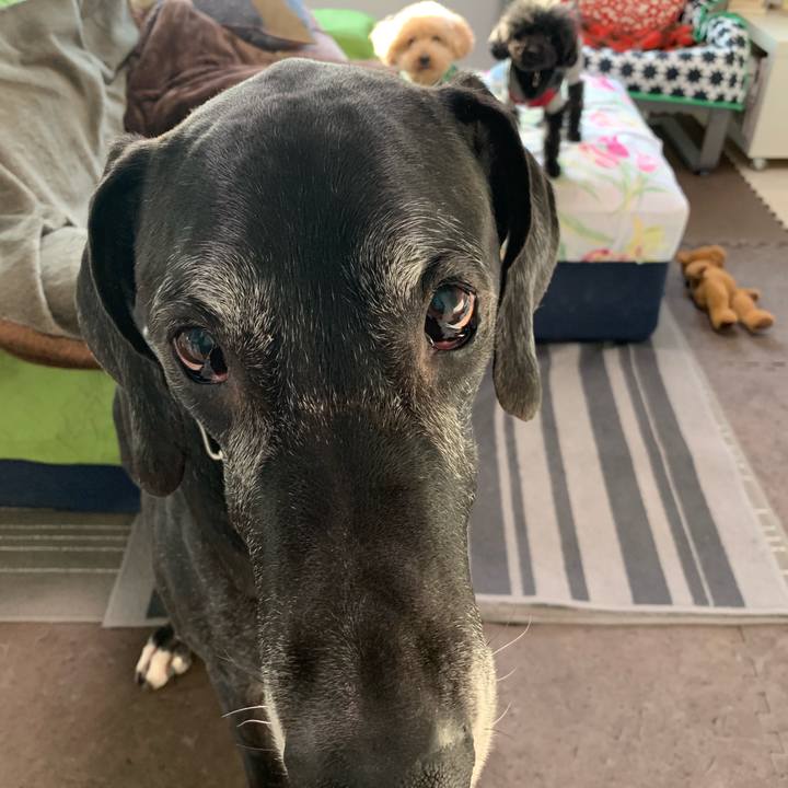 901fe2c6 81b4 43e5 88fc 8120dad0174b 1549492382880