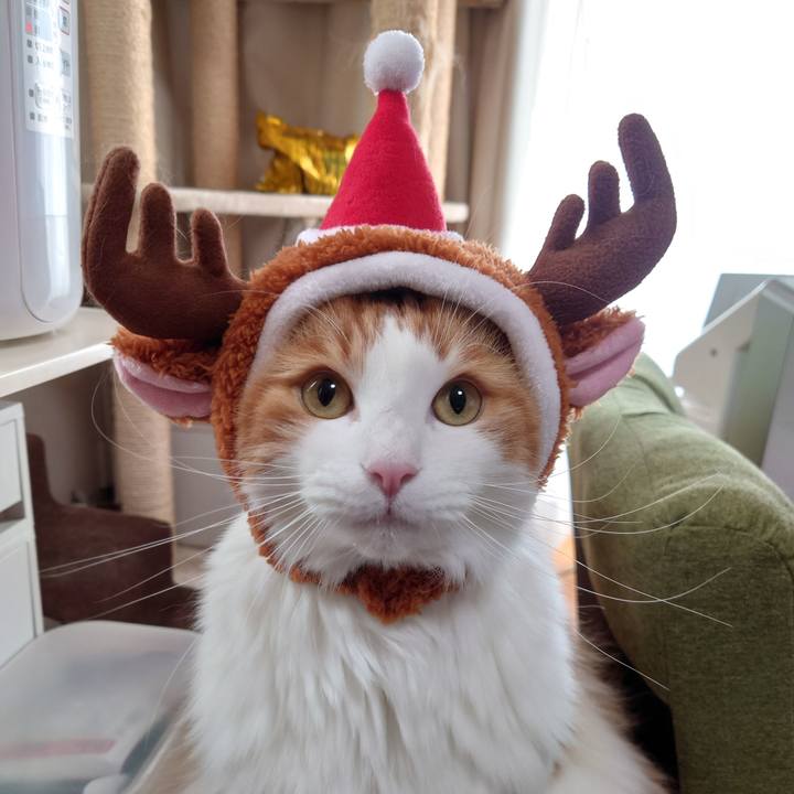 90201b9a bf79 4e18 b76f af47029260e5 1608687029249