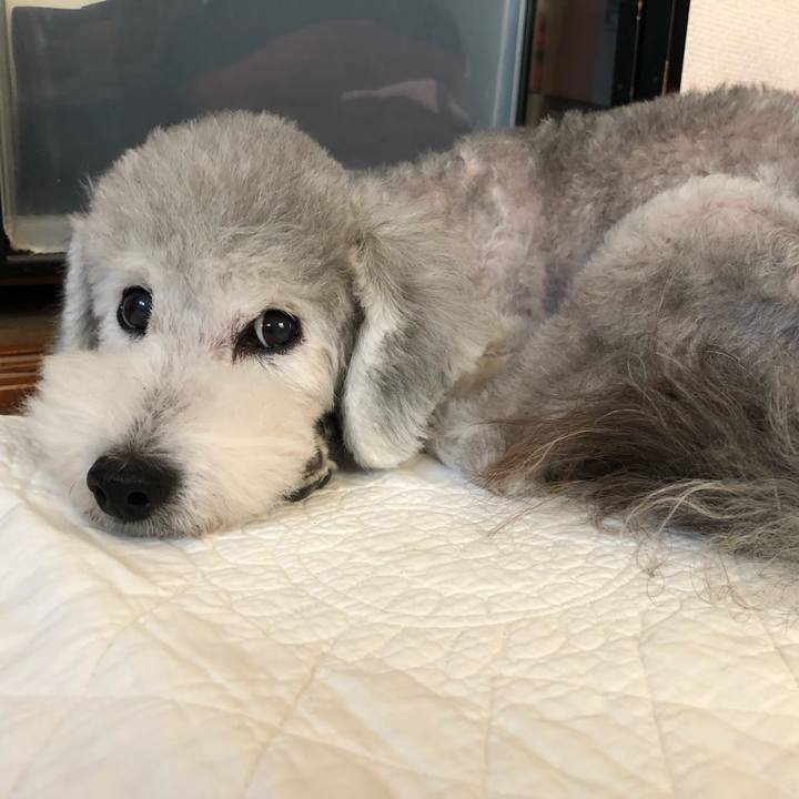 902028bb b5b8 4bd6 988b d2c1c99c25c6 1564958855528