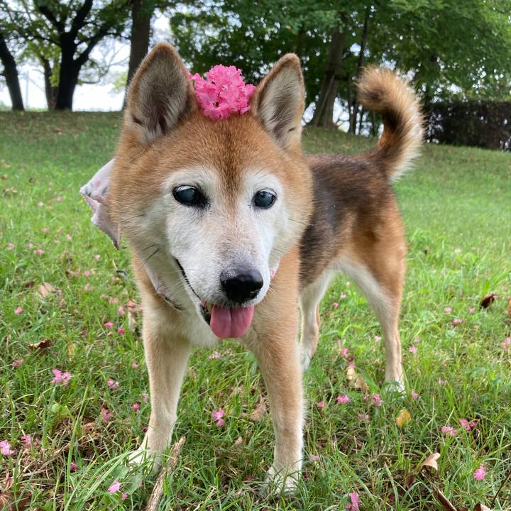 9020306c b170 496c a05b b5a67cc9ed71 1757499162312