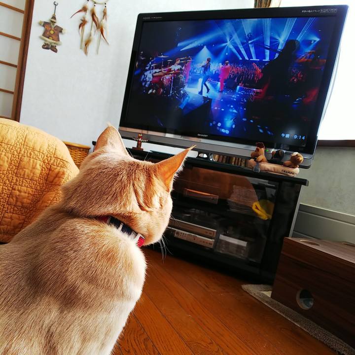 90205abc 7ac9 435c abf0 9f41791569c6 1579393578104