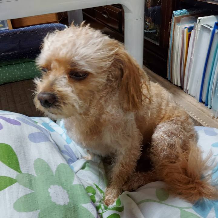 90208798 cb31 4a02 b92c 6b091a03b272 1660432812994