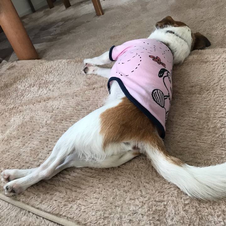 90208bae e701 464e 854f af9dab8f181a 1557986689804