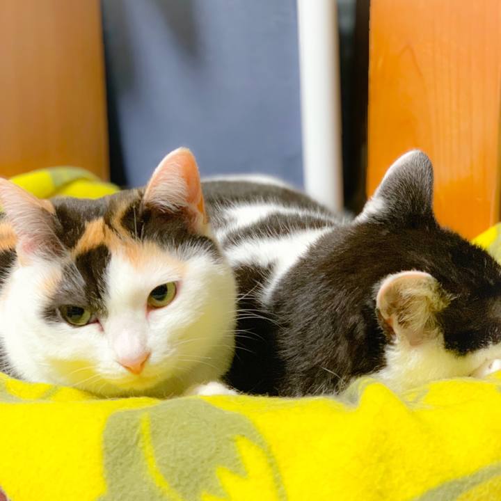 90209dc1 69aa 4efb a812 4827b94b1721 1557626745784