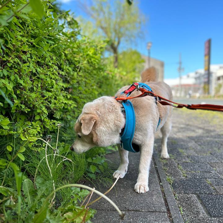 9020c996 c9bc 4516 beff 74b71f7fb662 1681612866246