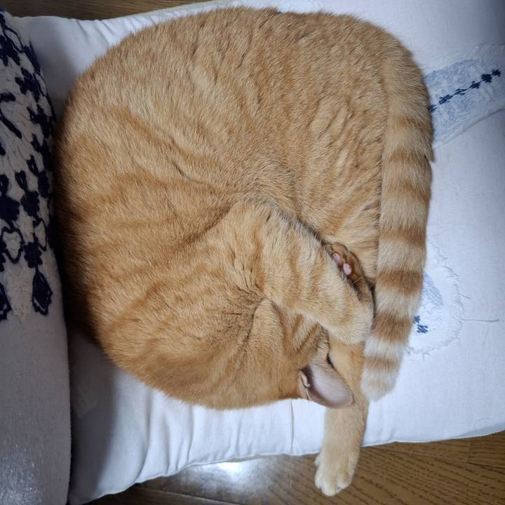 90211380 a388 40dd b706 2e7eca12c921 1757861025495