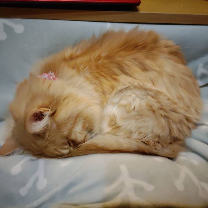 90216329 ba68 4151 a2e0 8b9e7e2179a3 1673103229035