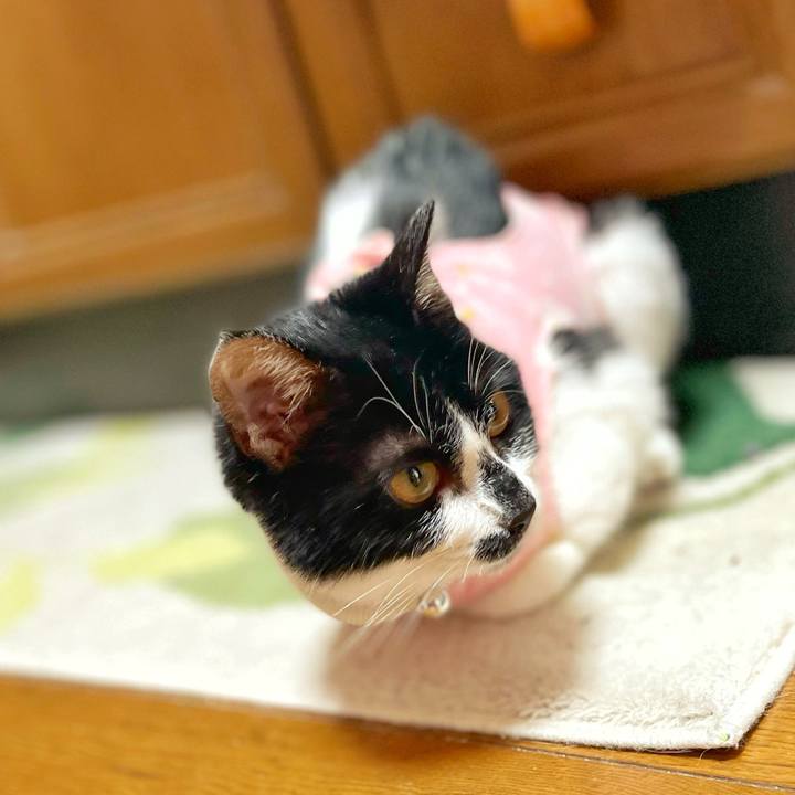 9021a0b8 83c7 4530 ba1f de87720075fd 1709948816376