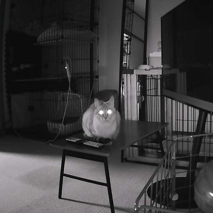 90220b79 d668 461b b97e 10de891a1aaf 1608901972062