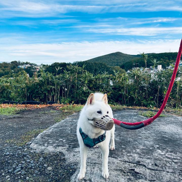 9022187e 8aa4 433c 9d30 4a4c9acf2b93 1758577085993