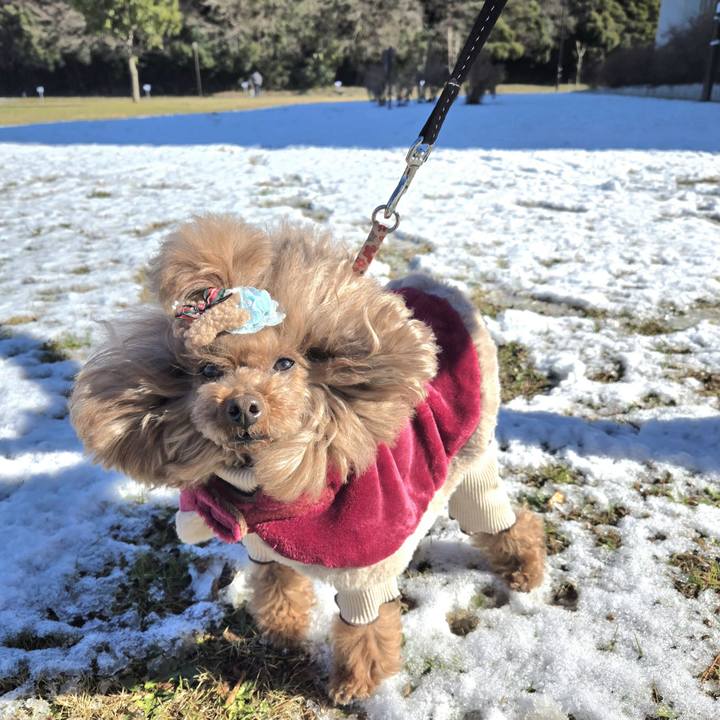 90221f58 4171 4a88 8e1d 1b544224003f 1767416321867