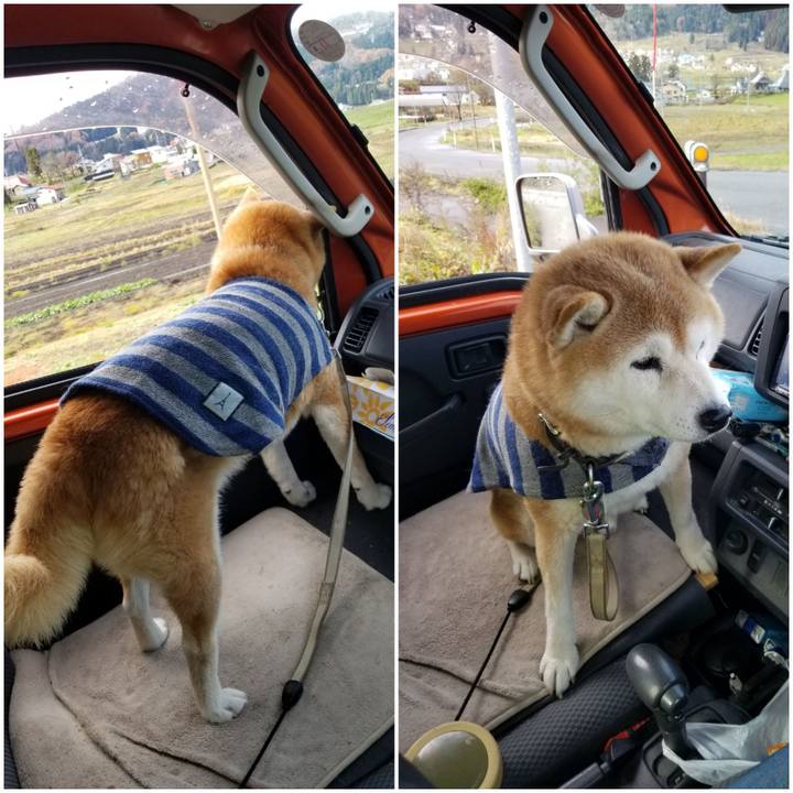 90223bbf 7457 4693 bd38 055ee3189f51 1701485561722