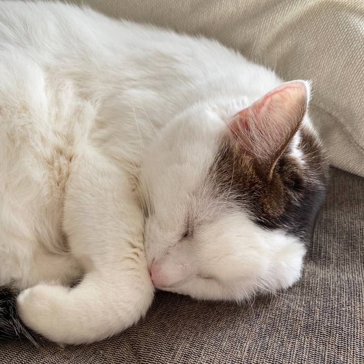 90224063 3f25 4efb ba99 d5ed09e59bf1 1734923098347