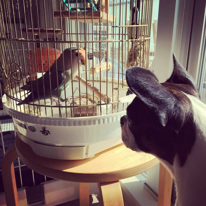 902244df 56a8 46ba ab2b 7546766fc0cf 1517364839956