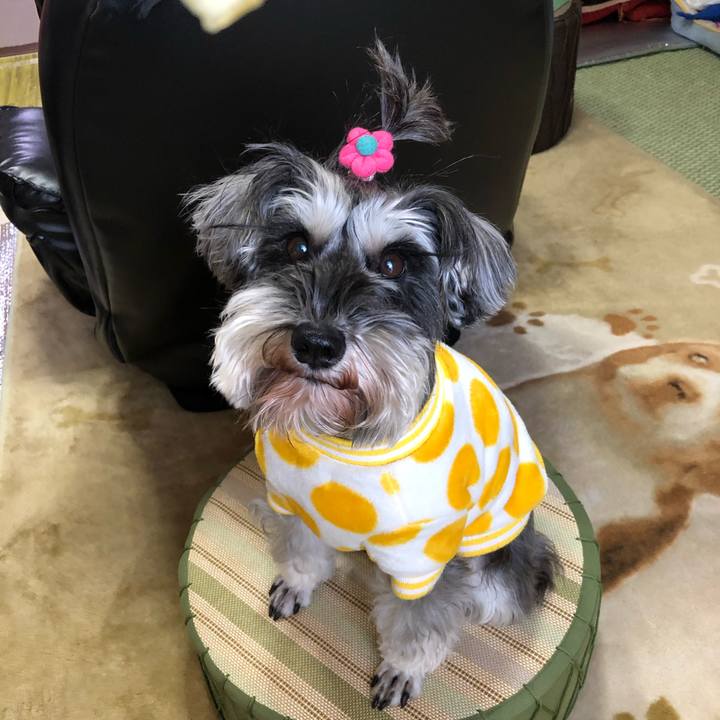 90225eb9 dd20 49fd b719 148ff75a8606 1546306866882