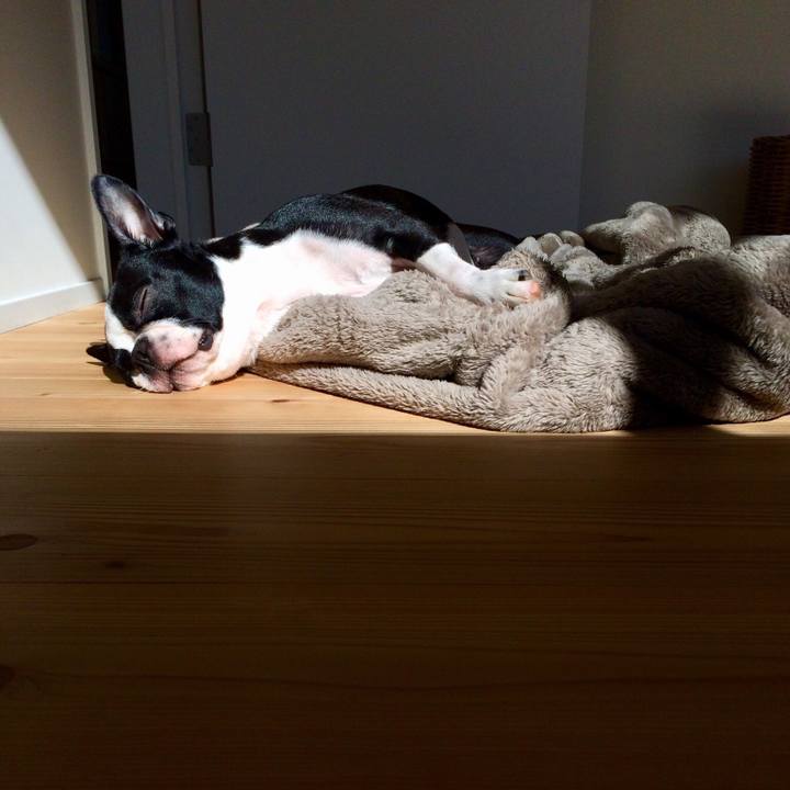 90227629 62ab 4f1f 8bea 6f94d2b29937 1510278873581