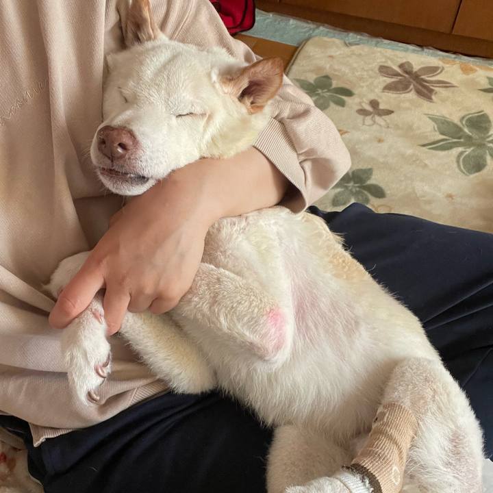 9022c2bc 4842 4e51 9b17 ffcdb36f9936 1674098911882