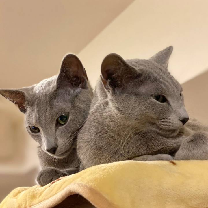 902343d1 a46d 4aed 96a9 77bdd2b55e76 1617280551692