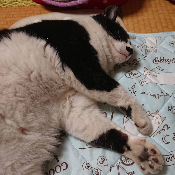 902369ff 69ba 4df1 bcb0 2d567dd0e9ad 1558096571231