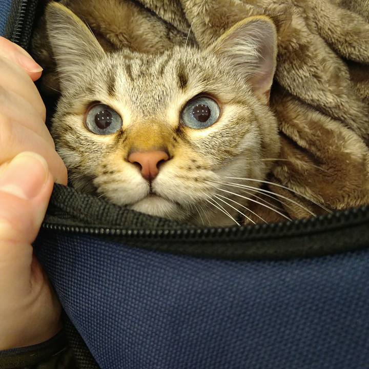 902382bd b4b0 4f1c bfab 095472111d39 1711164840893