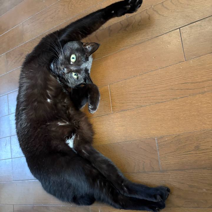 9023bb43 5665 410c 9666 bf39221514c4 1765971132841