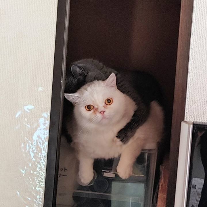 902472c6 8804 4a49 a3b3 3f70f19016bd 1651374198035