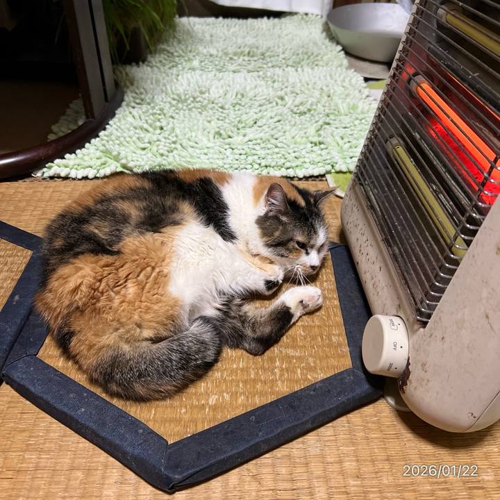 9024a0d4 8971 468b bff6 6395964c46dc 1769033997678