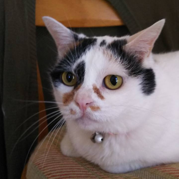 9024a8fd f79f 49df a3ae 35539b65e6b8 1566821585805