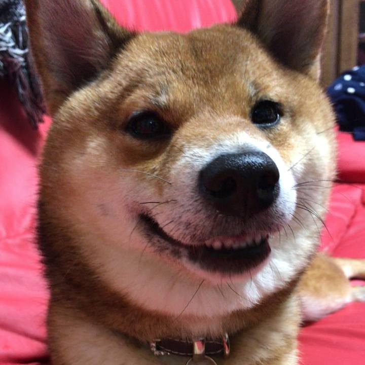 9024b060 443c 40fc b44e 3ad5ce46ebf2 1544611786850